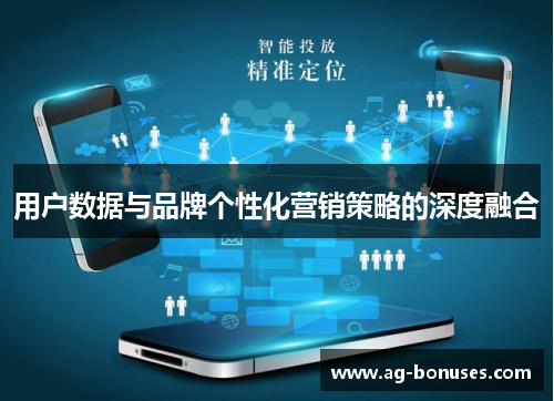 用户数据与品牌个性化营销策略的深度融合